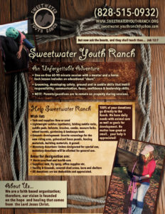 A flyer for Sweetwater Youth Ranch showcases mentoring programs through horse activities, featuring a touching photo of a child hugging a horse. Details about riding lessons, organization info, and a Bible verse are included. Discover more on our digital marketing platforms or contact us directly.
